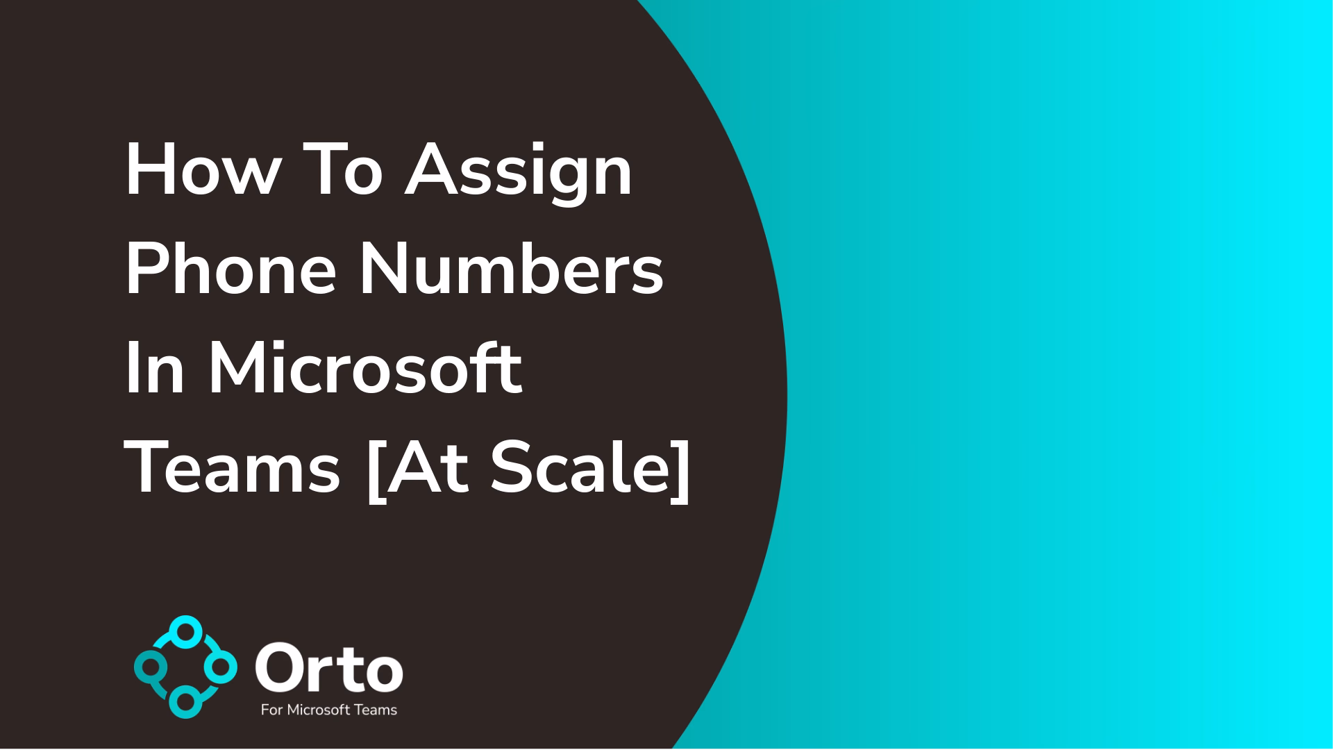 How To Assign Phone Numbers In Microsoft Teams [At Scale]