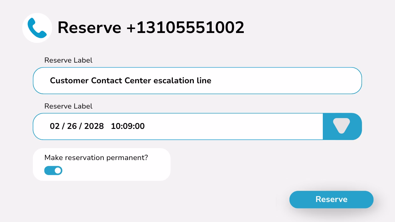 Diagram showing number reservations with a label, date and time with the option to make it permanent.