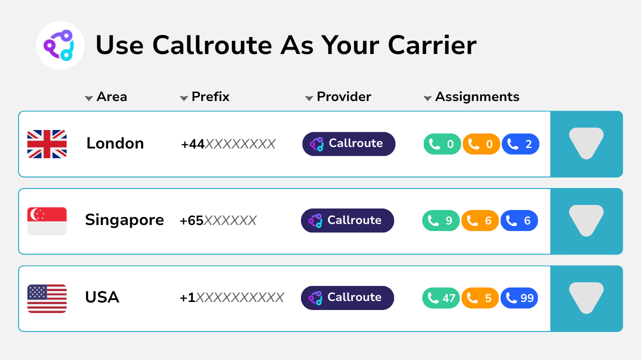 our-portal-use-callroute-as-your-carrier Diagram showing callroute as your carrier.